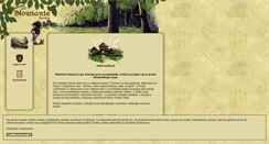 Desktop Screenshot of nawija.pl
